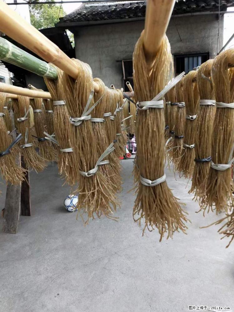 【灌阳正宗红薯粉】美女家里自己做的，干净卫生，假一赔十，价格合理，抢购电话：13737312895 - 美食天地 - 明港生活社区 - 明港28生活网 mg.28life.com