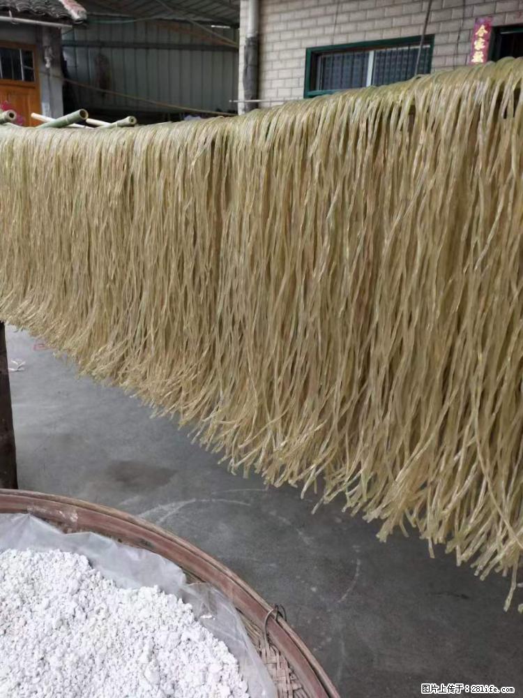 【灌阳正宗红薯粉】美女家里自己做的，干净卫生，假一赔十，价格合理，抢购电话：13737312895 - 美食天地 - 明港生活社区 - 明港28生活网 mg.28life.com