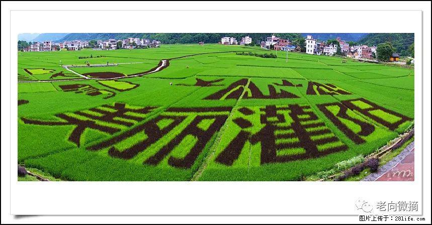 【春天，广西桂林灌阳县向您发出邀请！】开篇 - 游山玩水 - 明港生活社区 - 明港28生活网 mg.28life.com