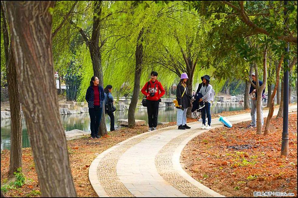 【春天，广西桂林灌阳县向您发出邀请！】江口老街又逢春 - 游山玩水 - 明港生活社区 - 明港28生活网 mg.28life.com