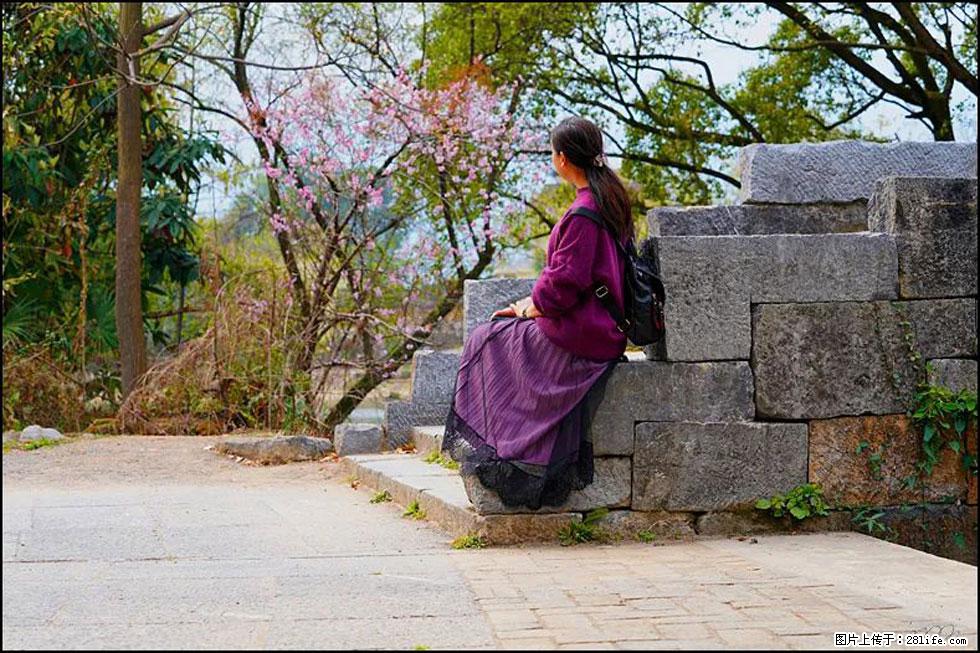 【春天，广西桂林灌阳县向您发出邀请！】江口老街又逢春 - 游山玩水 - 明港生活社区 - 明港28生活网 mg.28life.com