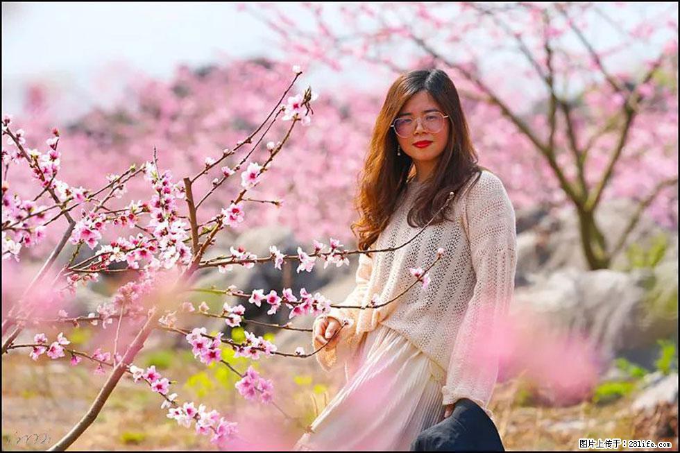 【春天，广西桂林灌阳县向您发出邀请！】望月岭上桃花开 - 游山玩水 - 明港生活社区 - 明港28生活网 mg.28life.com