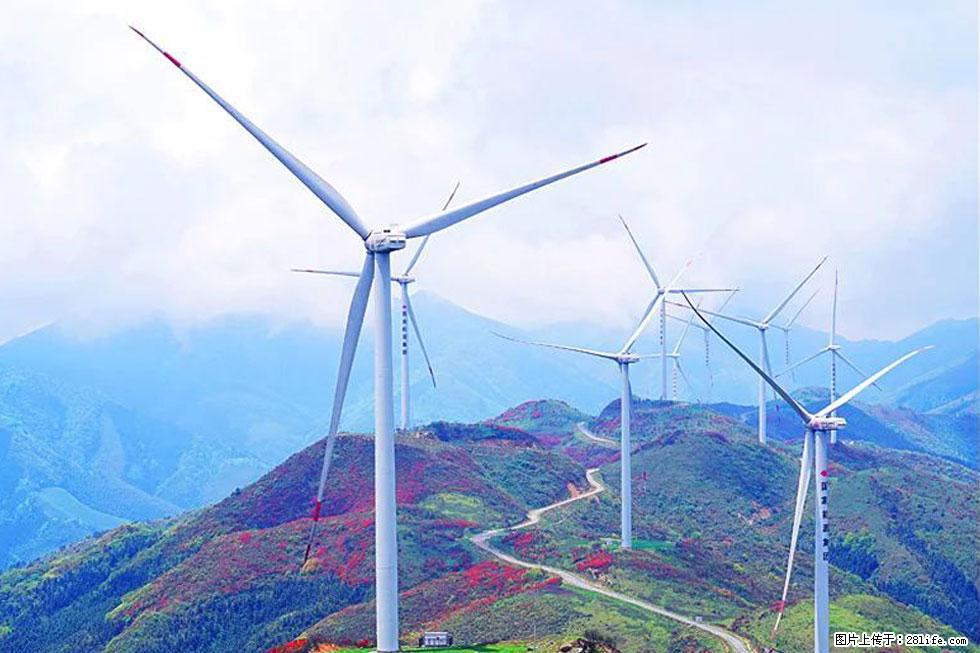 【春天，广西桂林灌阳县向您发出邀请！】春木界上映山红 - 游山玩水 - 明港生活社区 - 明港28生活网 mg.28life.com