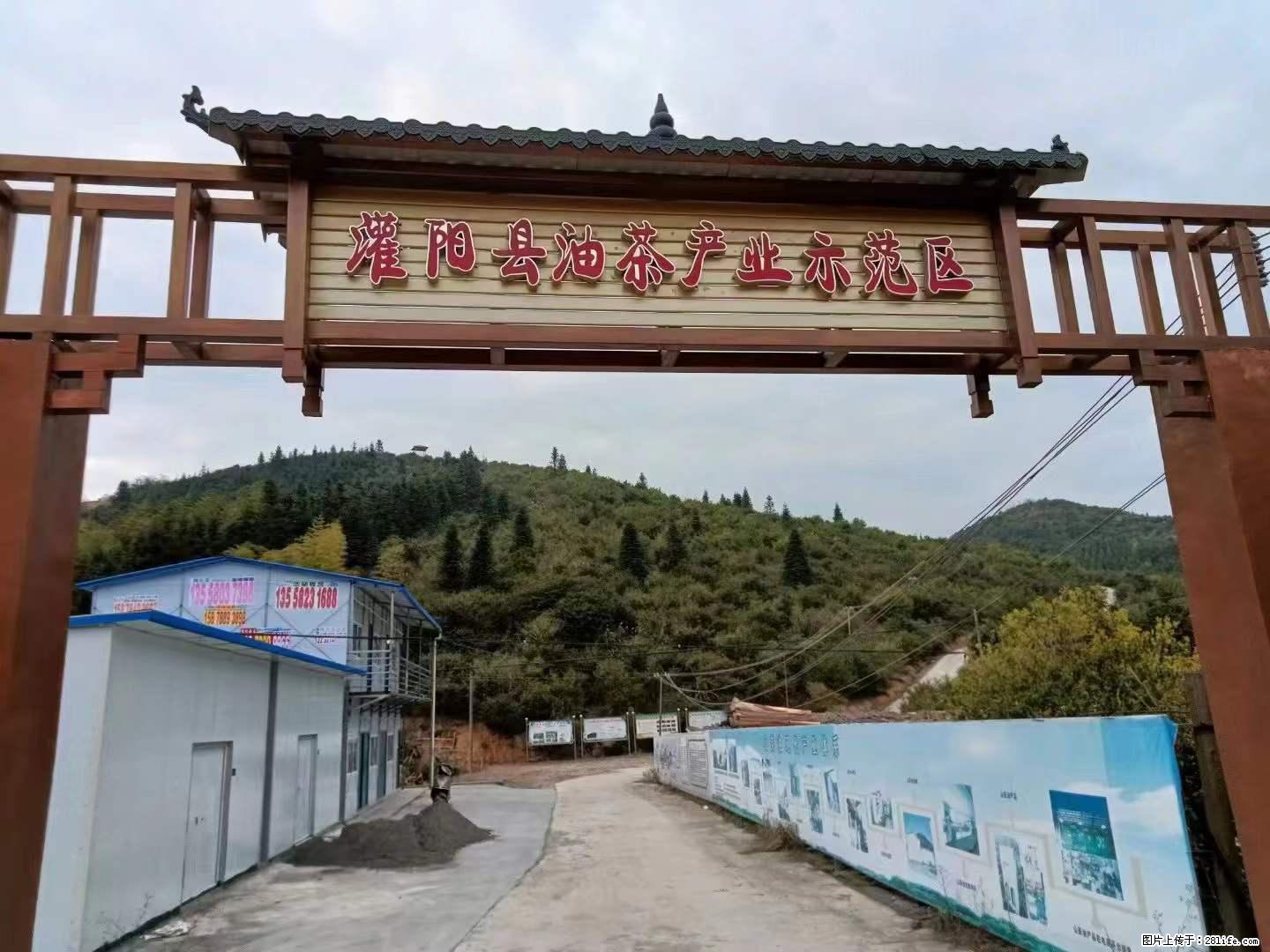 【灌阳县油茶产业示范区】一个有着充实的精神生活的人，对待身外之物自会有一种淡泊的态度 - 土特产 - 饮食特产 - 明港分类信息 - 明港28生活网 mg.28life.com