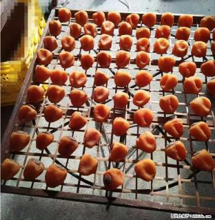 广西桂林平乐桥亭【柿饼之乡】2025年纯手工制作、无任何添加剂的第一批柿饼准备上市了，欢迎联系订购！ - 明港28生活网 mg.28life.com