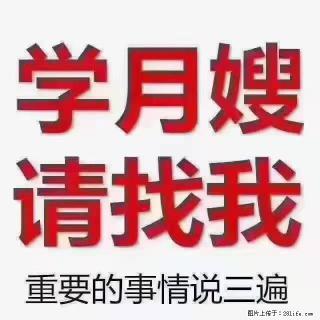 【招聘】月嫂，上海徐汇区 - 明港28生活网 mg.28life.com