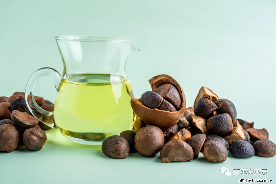 世界没有真相，只有认知，最好的食用油是中国的山茶油！ - 明港生活资讯 - 明港28生活网 mg.28life.com