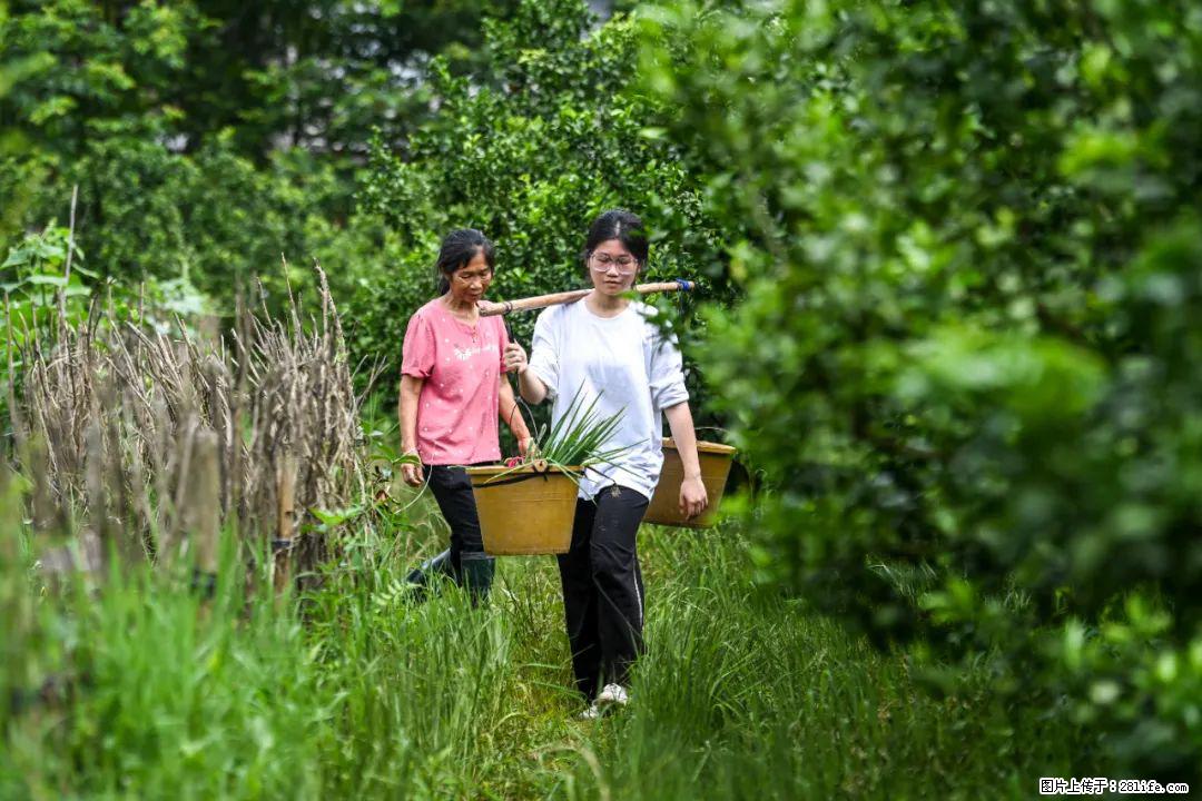 全网追的“扁担女孩”，找了一份暑假工，时薪12元 - 明港生活资讯 - 明港28生活网 mg.28life.com