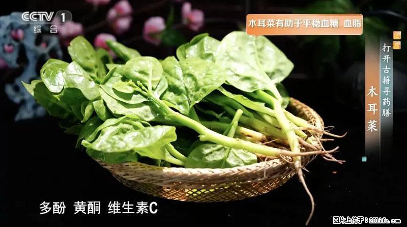 比牛奶补钙还厉害!凉血解毒、稳血糖...这菜冬天必吃,很多人却当草 - 明港生活资讯 - 明港28生活网 mg.28life.com