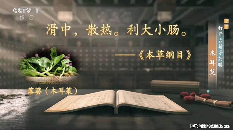 比牛奶补钙还厉害!凉血解毒、稳血糖...这菜冬天必吃,很多人却当草 - 明港生活资讯 - 明港28生活网 mg.28life.com