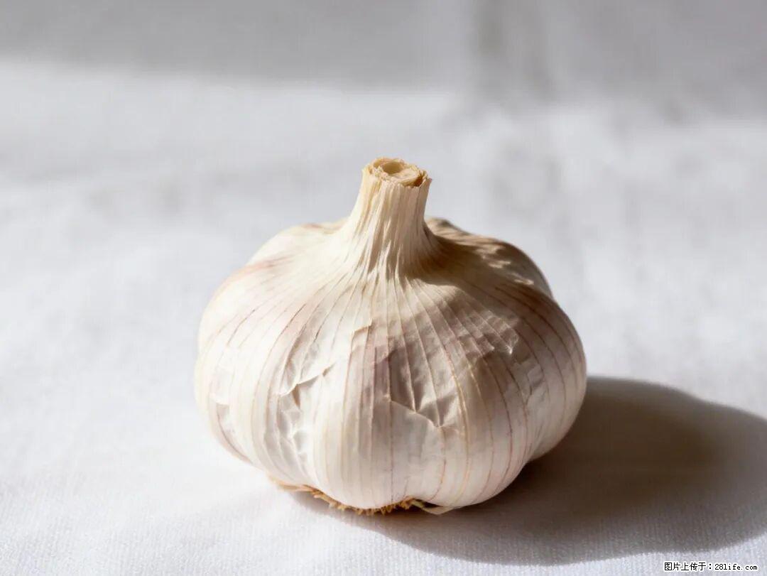 关于大蒜，除了“天然抗生素”，这4个谣言更该警惕! - 明港生活资讯 - 明港28生活网 mg.28life.com