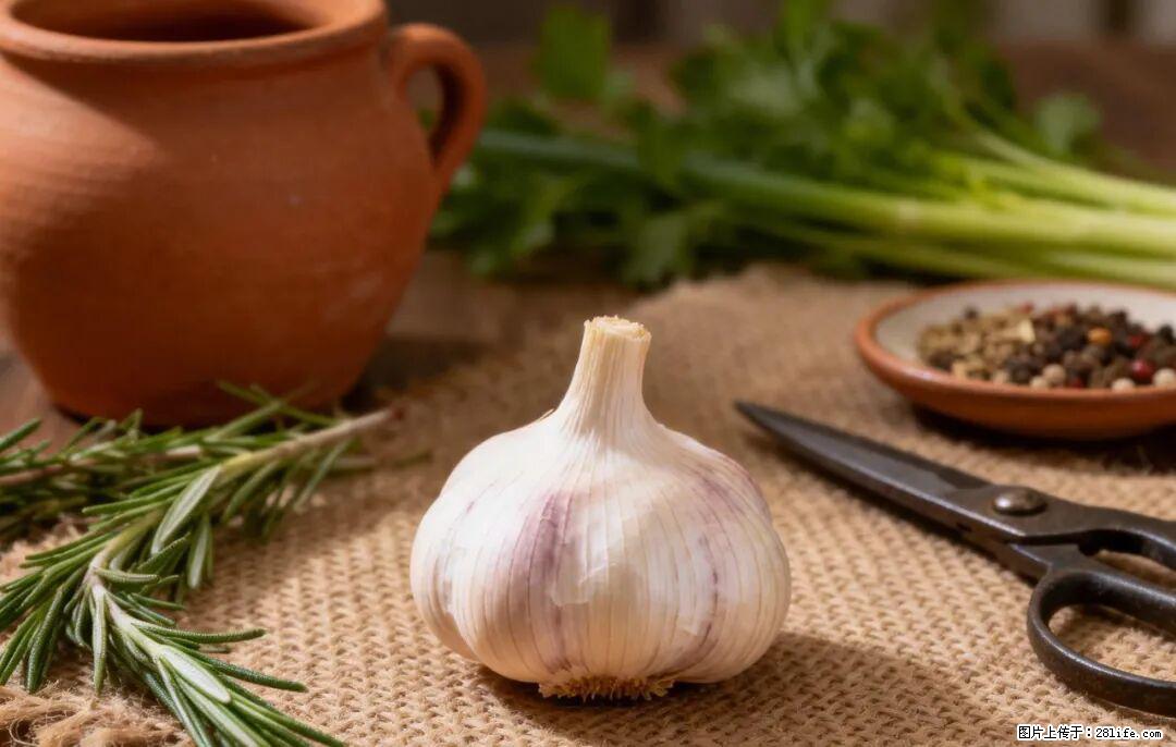 关于大蒜，除了“天然抗生素”，这4个谣言更该警惕! - 明港生活资讯 - 明港28生活网 mg.28life.com