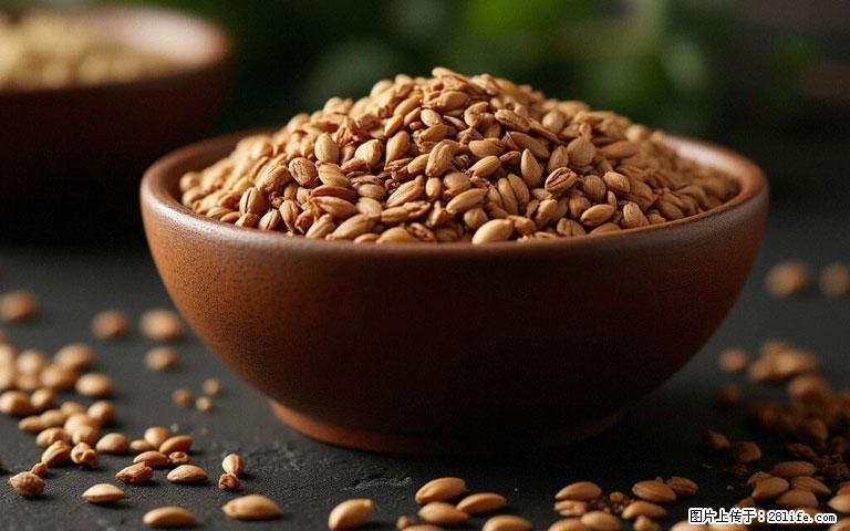 这三苦是三高“克星”，心血管干净不易堵！每天吃一点，指标慢慢降下来~ - 明港生活资讯 - 明港28生活网 mg.28life.com