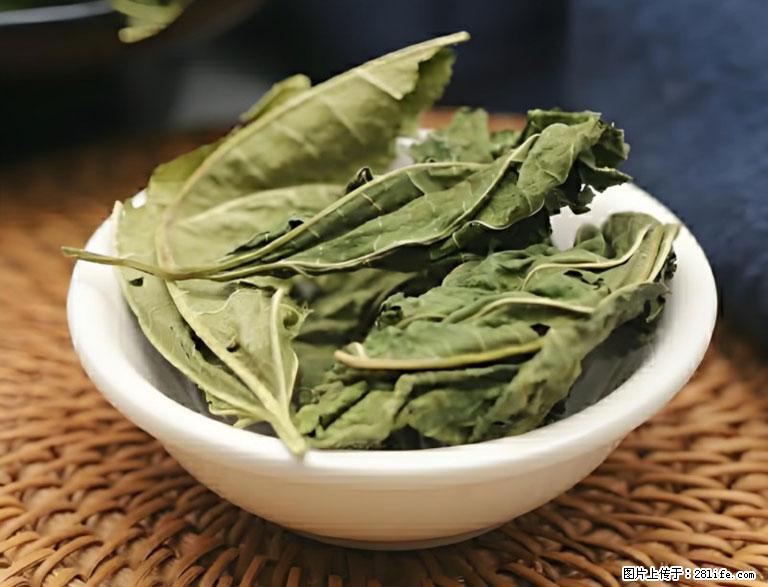 这三苦是三高“克星”，心血管干净不易堵！每天吃一点，指标慢慢降下来~ - 明港生活资讯 - 明港28生活网 mg.28life.com