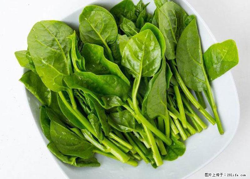 这些蔬菜是“天然钙片”，这6种被医生重点推荐 - 明港生活资讯 - 明港28生活网 mg.28life.com