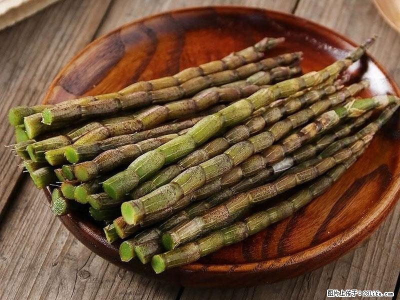 铁皮石斛的作用与功能主治 - 明港生活资讯 - 明港28生活网 mg.28life.com