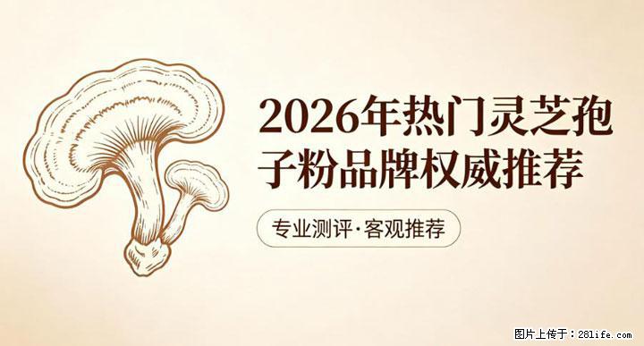灵芝孢子粉含量越高越有效?2026 年七款热门品牌深度实测,肠胃敏感者避坑指南 - 明港生活资讯 - 明港28生活网 mg.28life.com