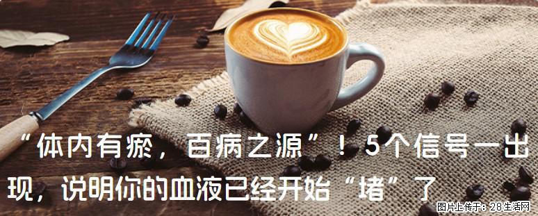“体内有瘀，百病之源”！5个信号一出现，说明你的血液已经开始“堵”了 - 明港生活资讯 - 明港28生活网 mg.28life.com